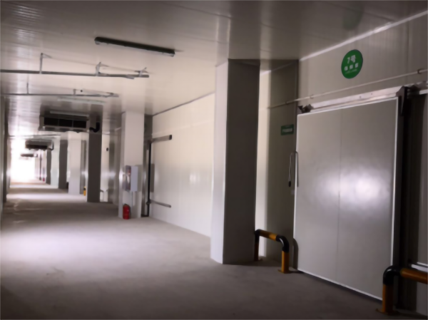 建造200噸的肉類冷鏈冷凍庫如何做好規劃設計？