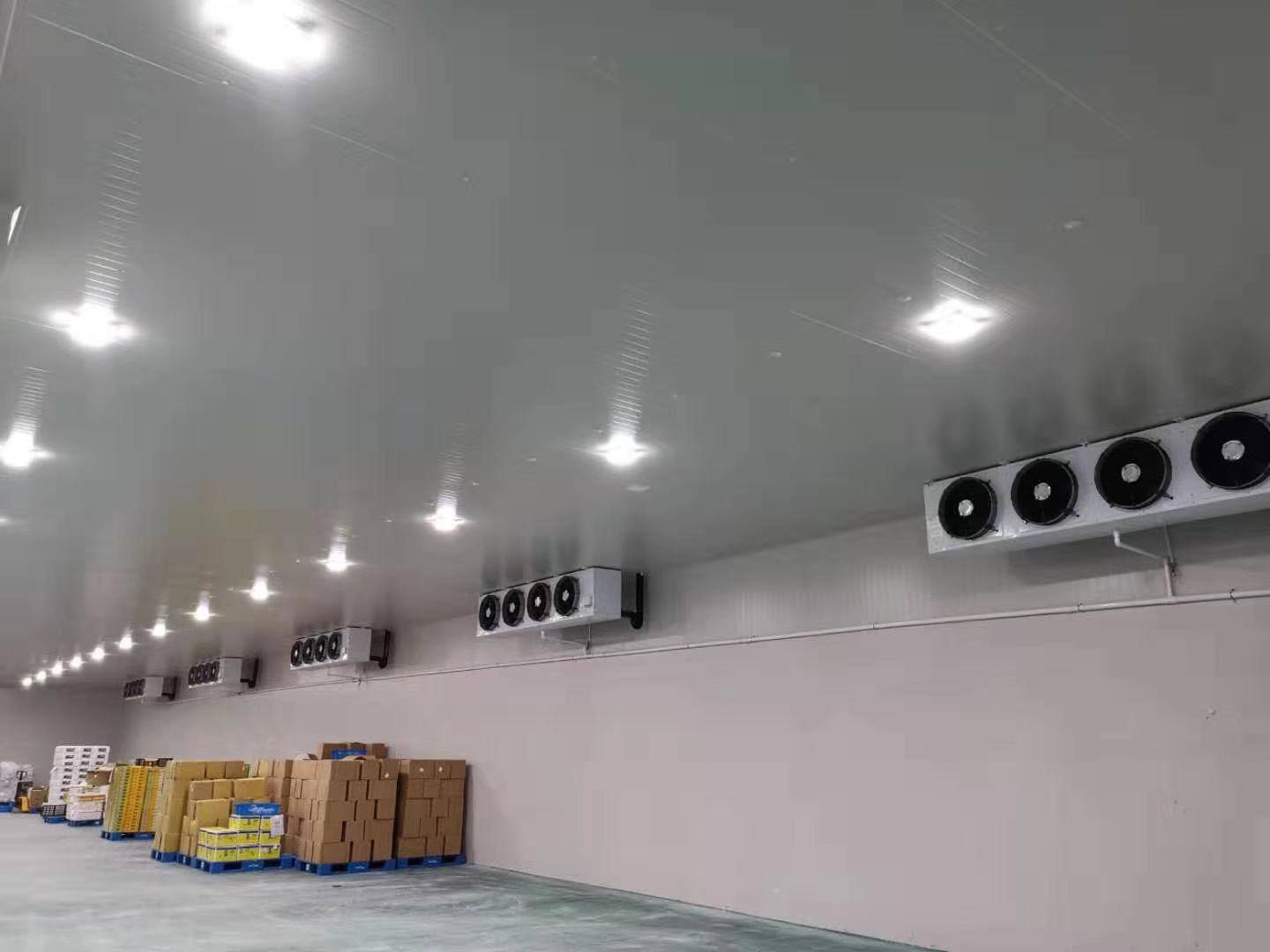 城市周邊建造一個8800平生鮮電商冷庫設計安裝費用？