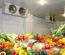 安裝一座冷庫存放蔬菜需要多少錢，造價多少