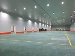 500噸山藥恒溫冷藏庫造價多少錢一平米，一天耗電量多少錢